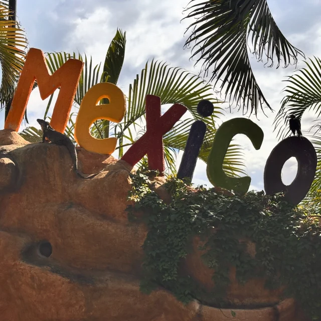 🇲🇽🤩☀️